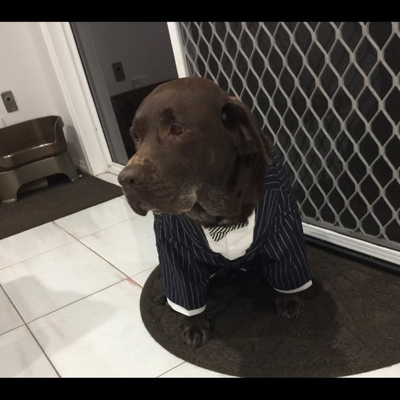 Meet your Posher, Robyn - Picture 2 of 9